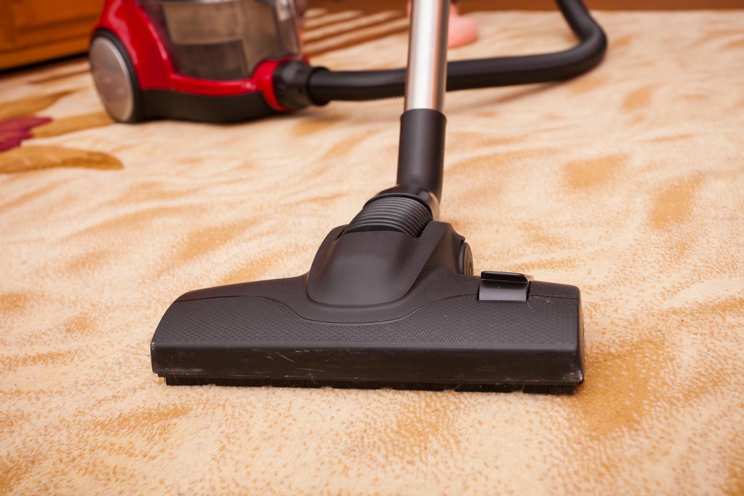 Hardwood floor cleaning in {{CITY}}, MI