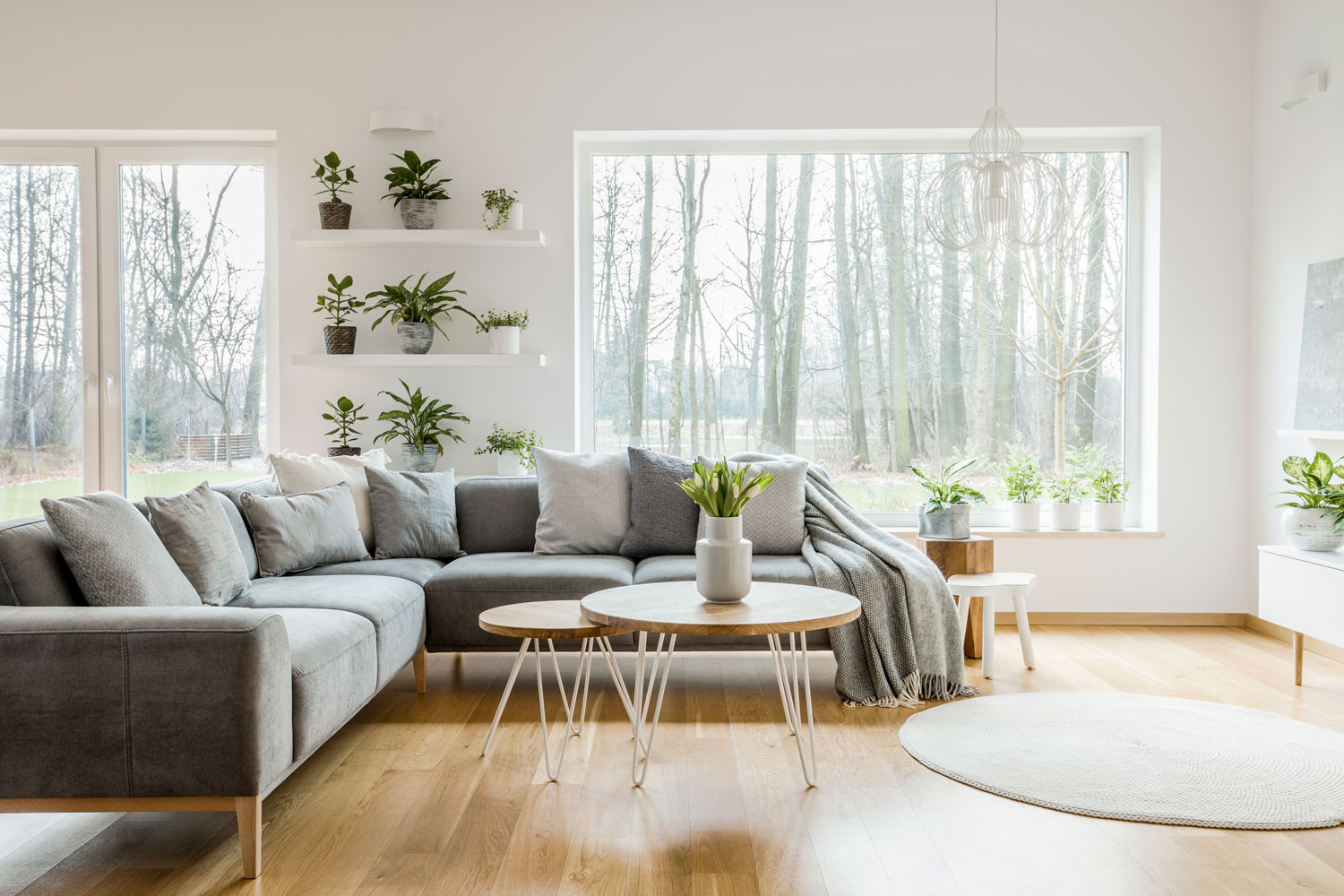 Clean, sunlit living room with polished hardwood floors in a Plymouth, MI residence